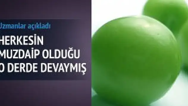 Uzmanlar eriğin faydalarını anlattı