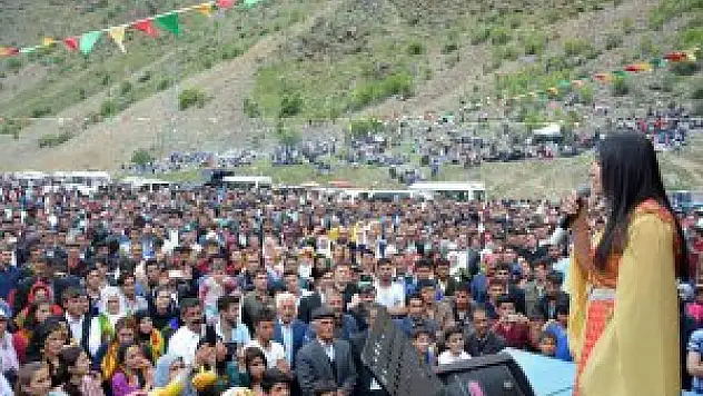 'Çatak Ceviz, Bal, Alabalık ve Doğa Festivali'