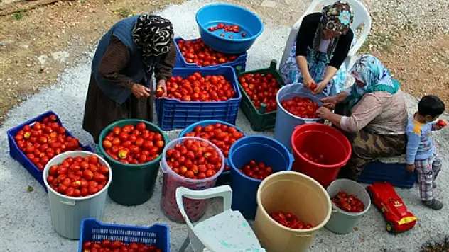 Şiir Gibi Karaman' Fotoğraf Albümü Görücüye Çıktı
