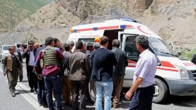 Zap Suyu'na yuvarlanan kamyonetteki 2 kişinin kaybolması
