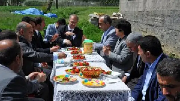 Muş'ta çilek hasadı başladı