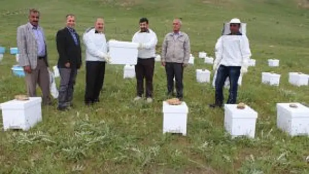 Hakkari'de Arıcılığı Geliştirme Projesi