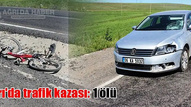 Ağrı'da trafik kazası: 1 ölü