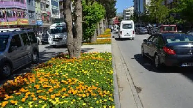 Tatvan çiçeklerle renklendi