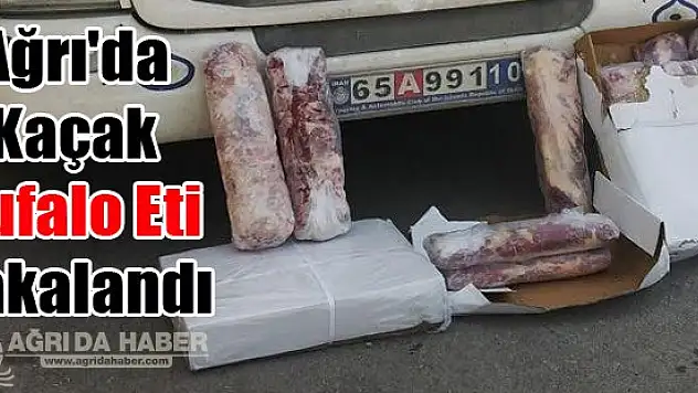 Ağrı'da Kaçak Bufalo Eti Yakalandı