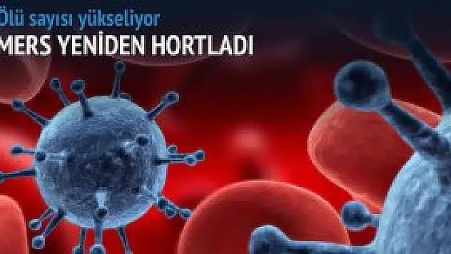 MERS'ten ölenlerin sayısı 6'ya çıktı