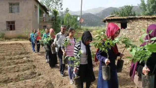'Şemdinli'de Bir Fidanım Olsun' Projesi