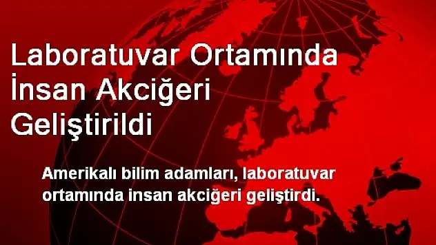 Laboratuvar Ortamında İnsan Akciğeri Geliştirildi