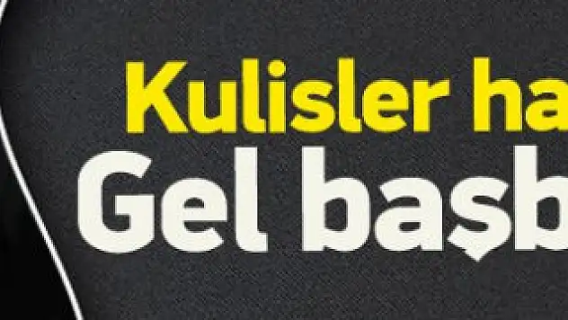 Devlet Bahçeli'ye Başbakanlık Teklifi !