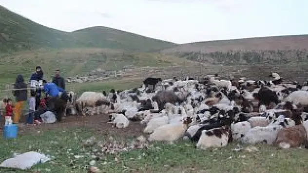 Göçerlerin yayladaki zorlu ramazan mesaisi