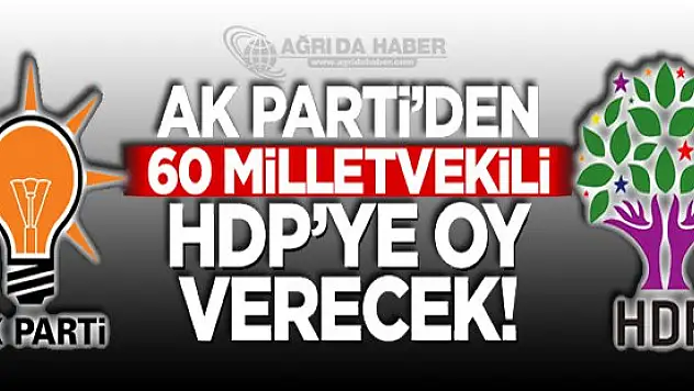 Ak Parti'den 60 milletvekili HDP'ye oy verecek