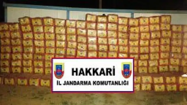 Hakkari'de kaçakçılıkla mücadele