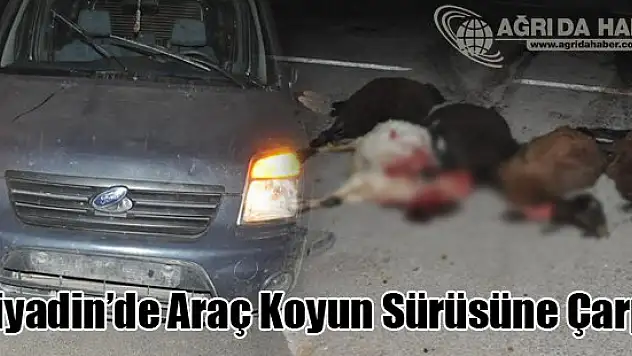 Ağrı'da Trafik Kazası: 8 Koyun Telef Oldu