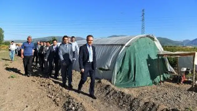 Erzurum'da sebze üreticiliği
