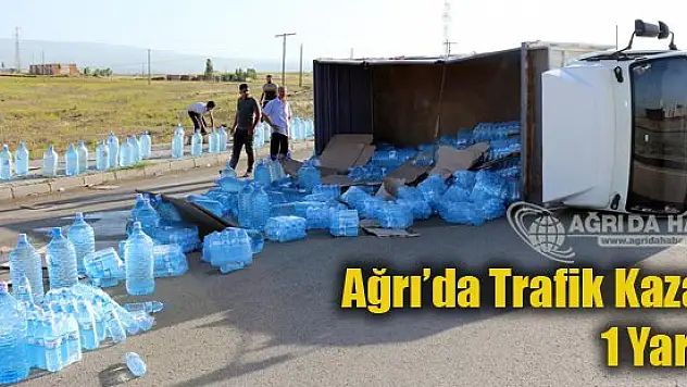 Ağrı'da kamyonet devrildi: 1 yaralı