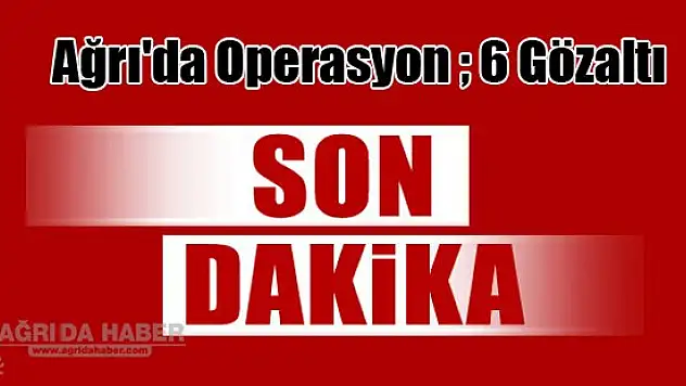Ağrı'da Terör Operasyonu 6 Gözaltı