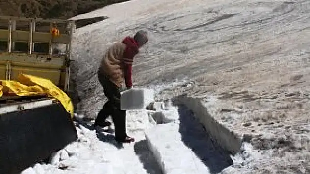 Muş'ta 'kar' geçim kaynağı oldu