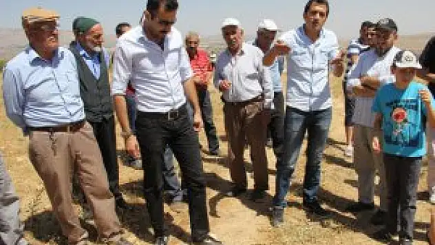Elazığ'da tavuk çiftliklerine 'kötü koku' tepkisi