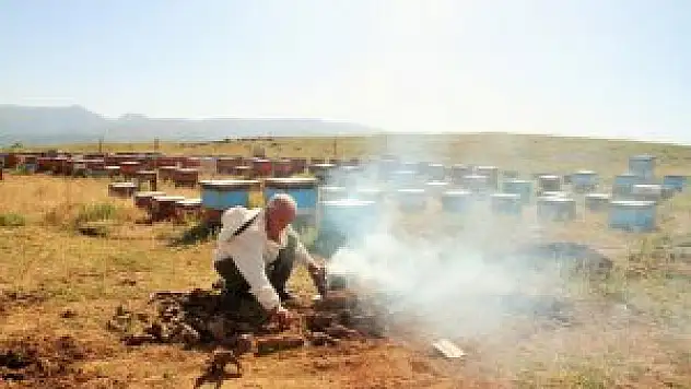 Silahlar sustu yaylalar 'bal'landı
