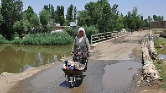 Süt sağmak için her gün 8 kilometre yürüyorlar