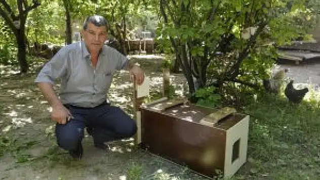 Tavuklarını telef eden sansarı yetkililere teslim etti
