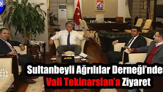 Sultanbeyli Ağrılılar Derneğinden Vali Tekinarslana Ziyaret