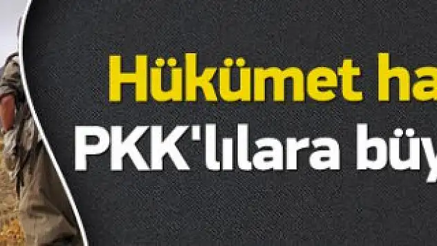 Hükümetten PKK'ya Büyük Operasyon !
