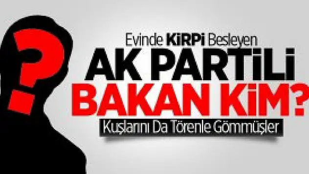 Evinde Kirpi Besleyen Ak Partili Bakan Kim?