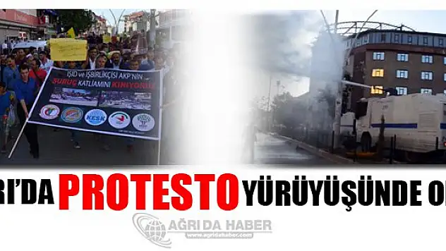 Ağrı'da Protesto Yürüyüşünde Olay