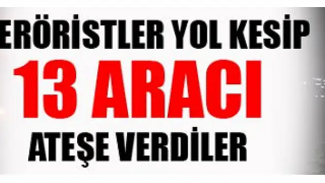 Kars'ta Teröristler yol kesip 13 Aracı yaktı
