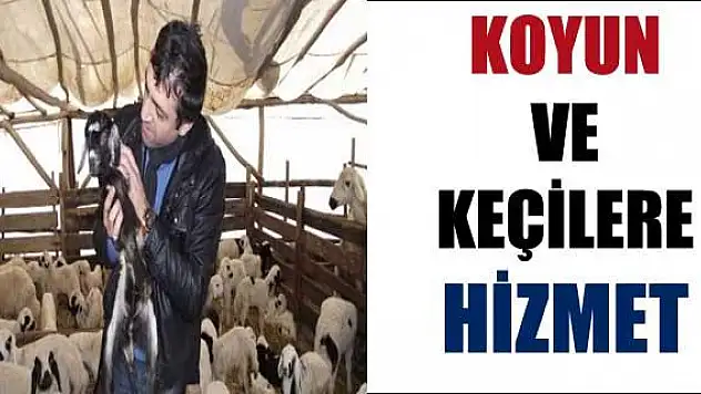 Koyun-Keçi Birliğinden Yetiştiricilere Danışmanlık Hizmeti