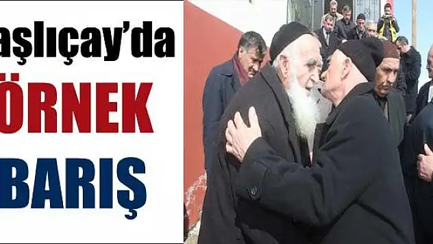 Taşlıçay´da Örnek Barış