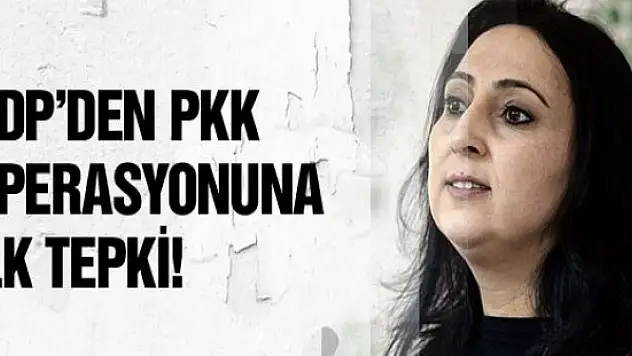 HDP'den  Kandil operasyonuna ilk tepki!