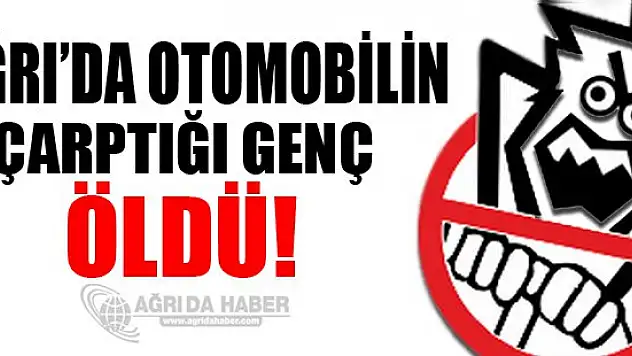 Patnos ilçesinde otomobilin çarptığı kişi hayatını kaybetti.