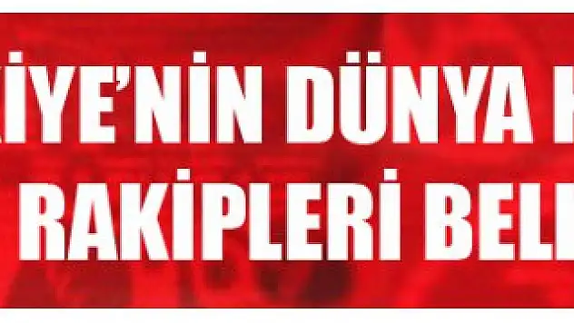Türkiye'nin Dünya Kupası'ndaki Rakipleri Belli Oldu