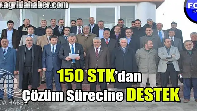 Çözüm Sürecine Destek