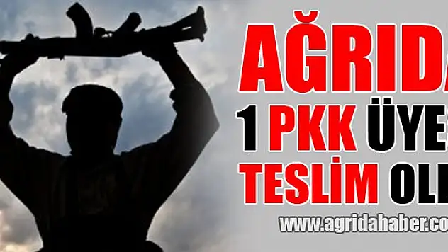 Ağrı'da bir PKK üyesi Teslim oldu