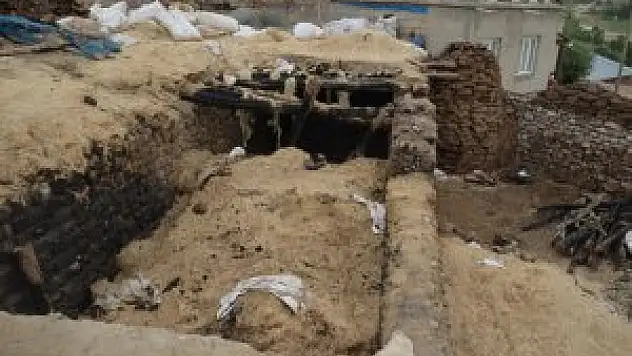 Başkale'de 12 büyükbaş hayvan telef oldu