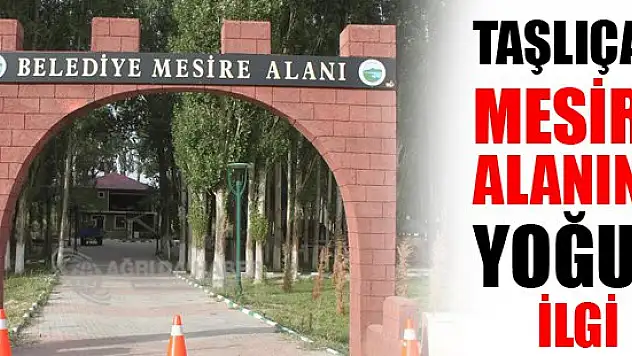 Taşlıçay Mesire Alanına İlgi Artıyor