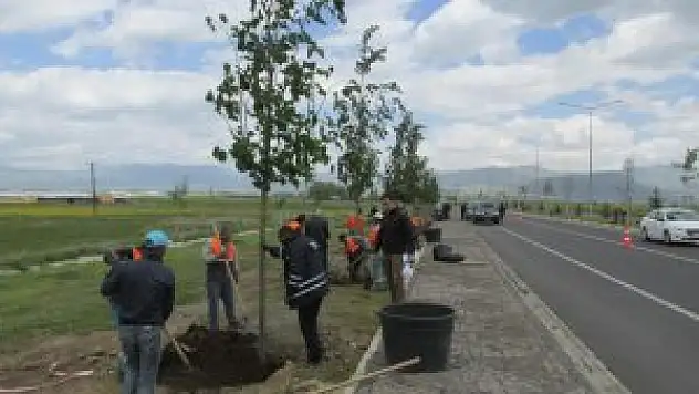 Erzurum Büyükşehir Belediyesi'nin yeşillendirme çalışmaları