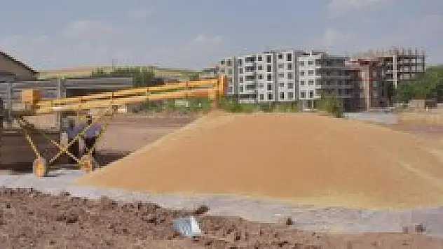 Ahlat'ta buğday alımına başlandı