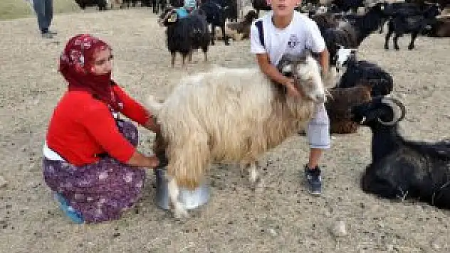 Muş'ta kadınların zorlu yolculuğu
