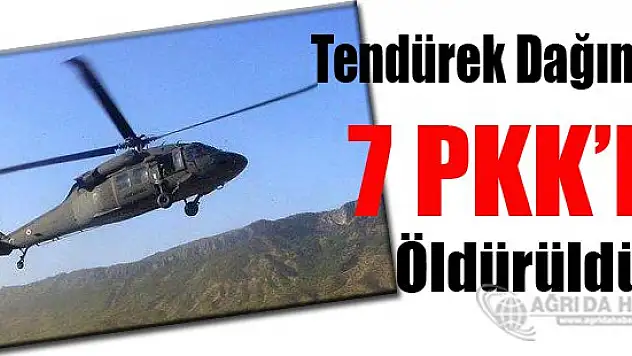 Sondakika! Tendürek Dağında 7 PKK'lı Öldürüldü