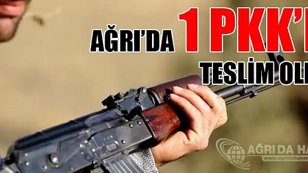 Ağrı'da 1 PKK'lı teslim oldu