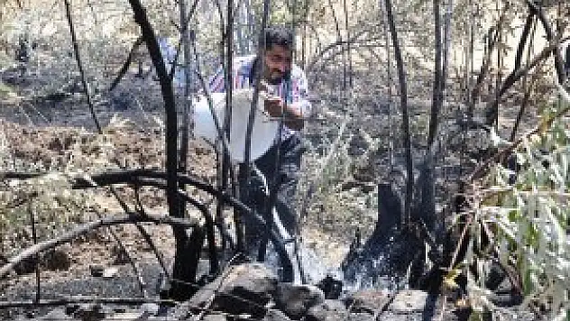 Tunceli'de yangın