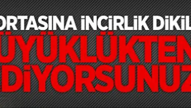 En Büyük Terörist ABD
