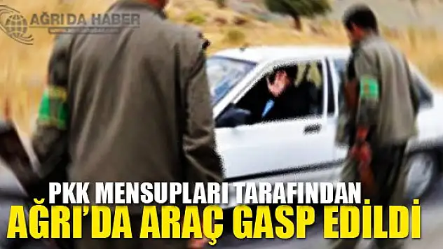 Terör Örgütü PKK mensupları Ağrı'da bir aracı gasbetti