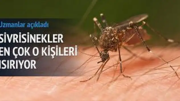 Sivrisinekler en fazla hamileleri ısırıyor