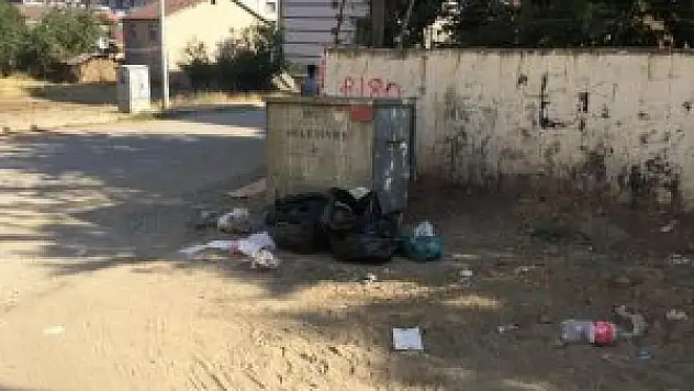 Muş Belediye Başkanı Asya: