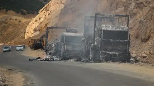 Bingöl'de yol kesen teröristler araç yaktı